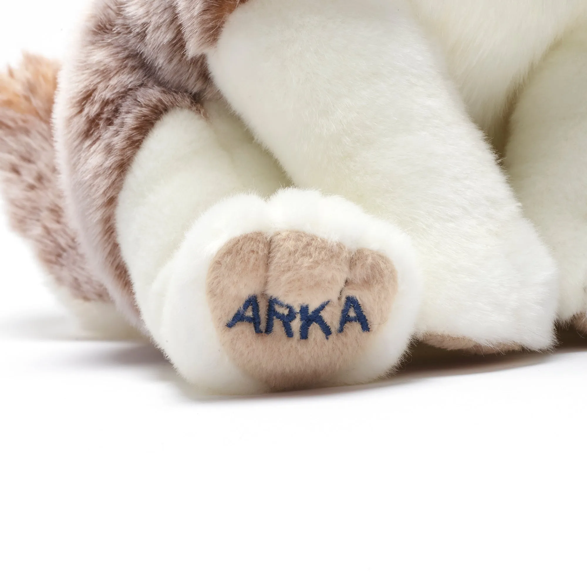 Arka Husky