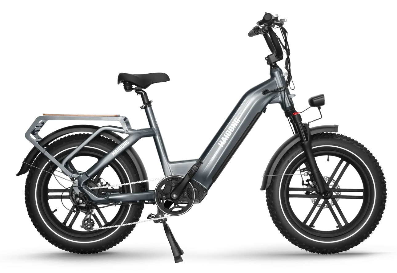 Himiway Big Dog Electric Bike