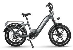 Himiway Big Dog Electric Bike