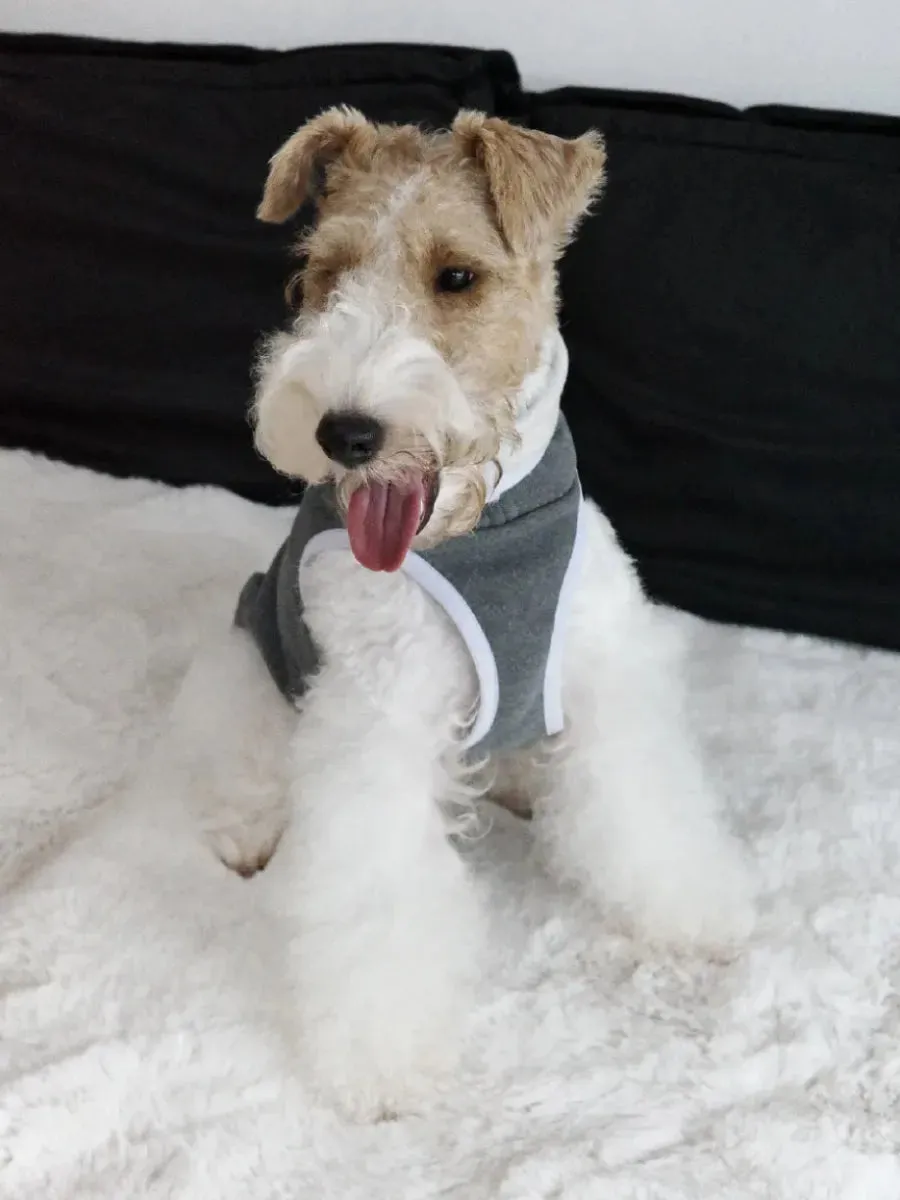 Soft & Skin-Friendly Cloud Dog Vest