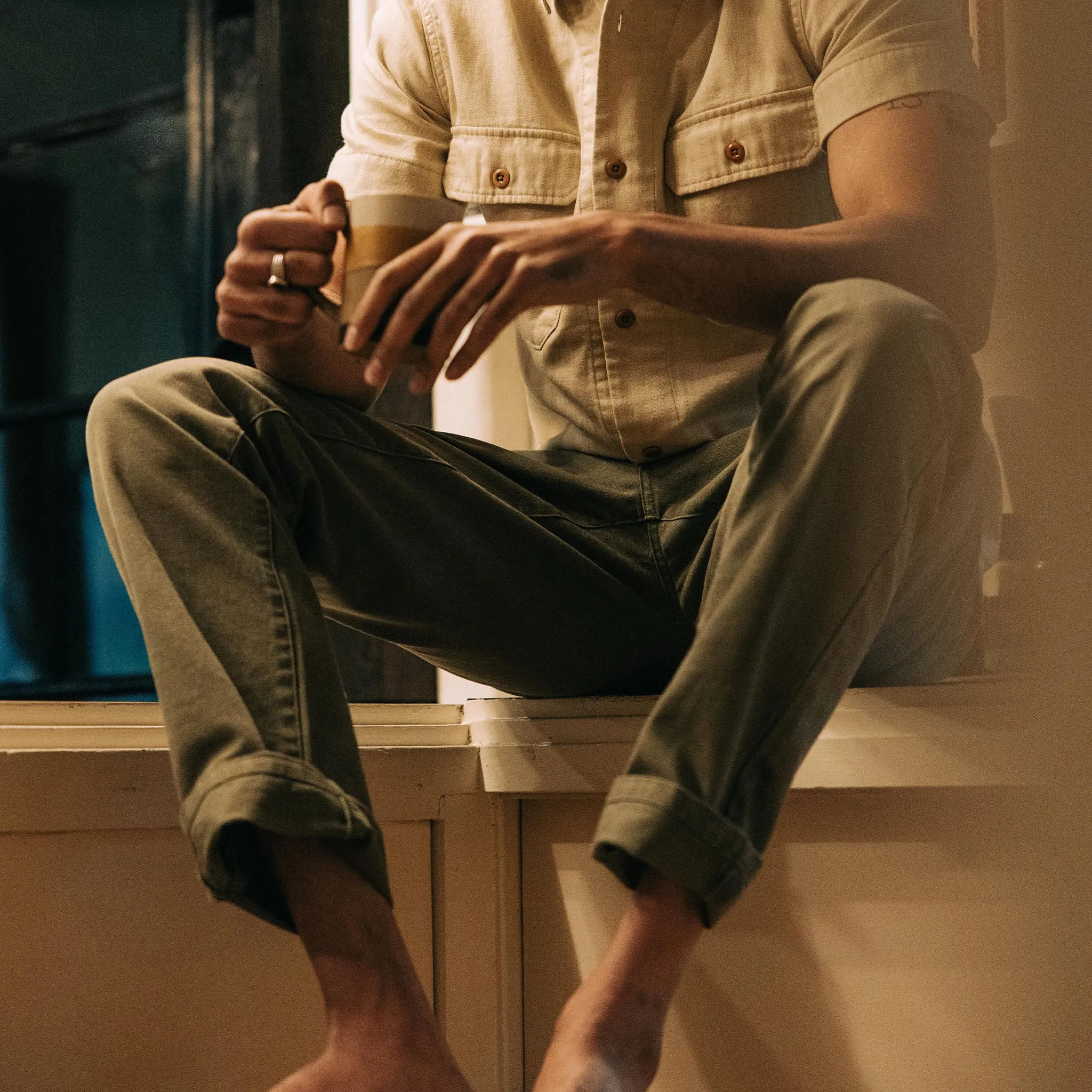 The Democratic All Day Pant in Arid Eucalyptus Canvas